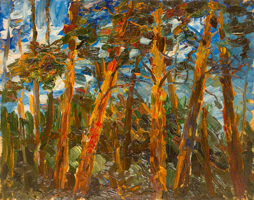 Pines on the Blue Bay Robert Nizamov