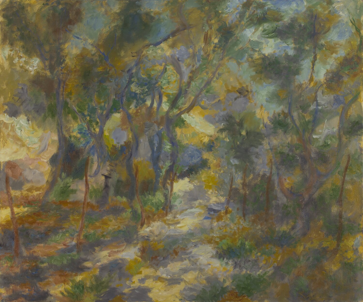 Oak grove in Katsiveli Robert Nizamov