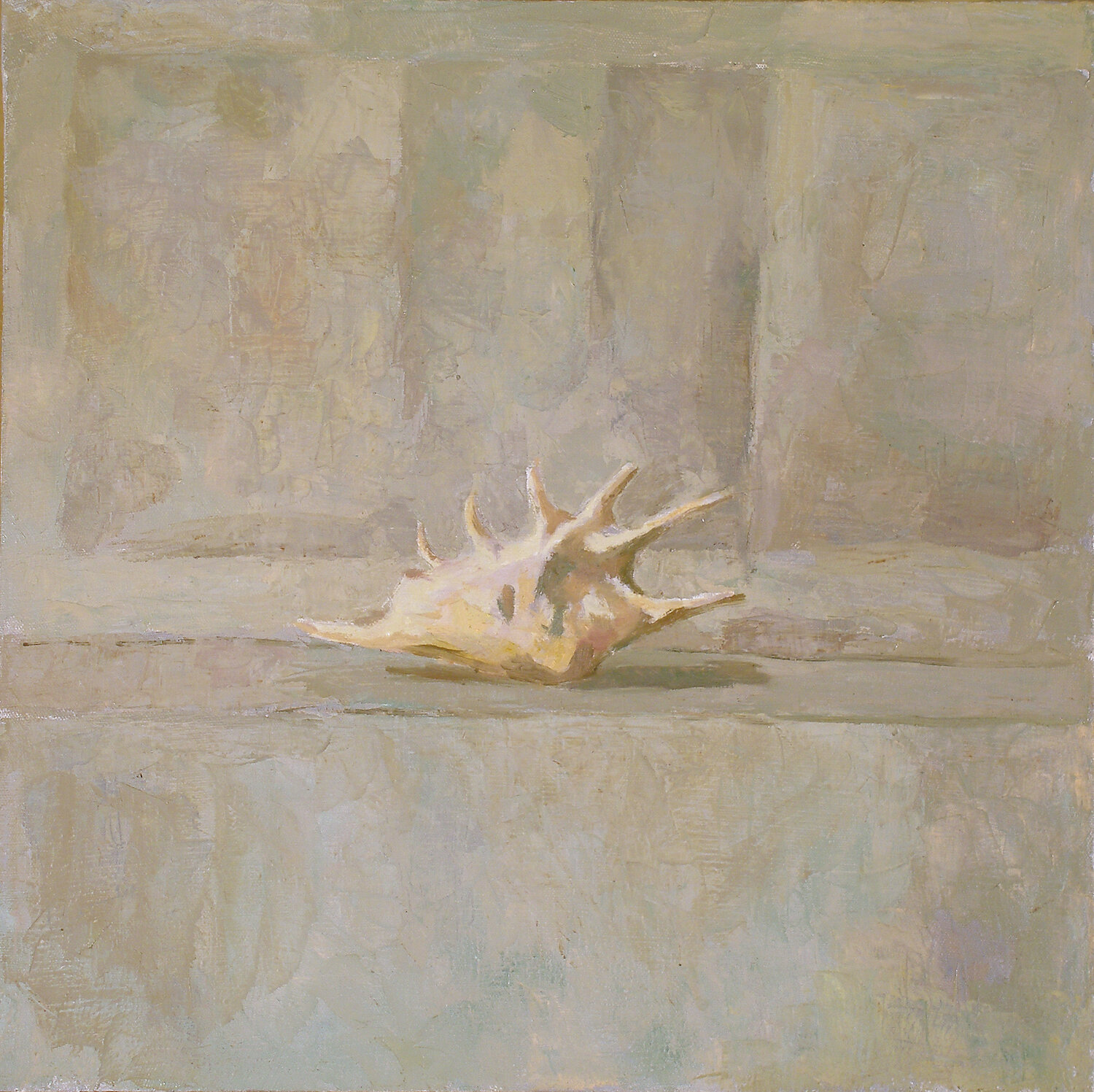 Shell Robert Nizamov