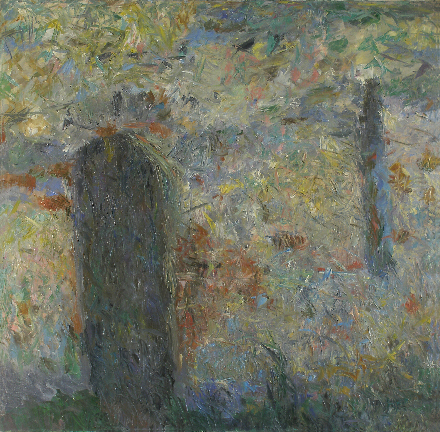 Door and Window Robert Nizamov