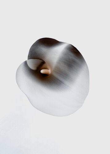 Flower Serie 1 di Pedro Afonso, Fotografia in vendita su Singulart