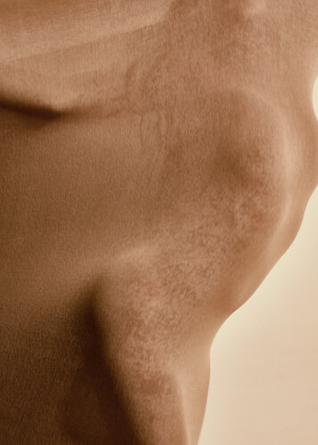 Human 01 di Pedro Afonso, Fotografia in vendita su Singulart