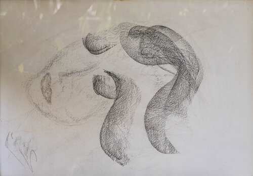 Die Schlafende di johanna schmidt, Disegno in vendita su Singulart