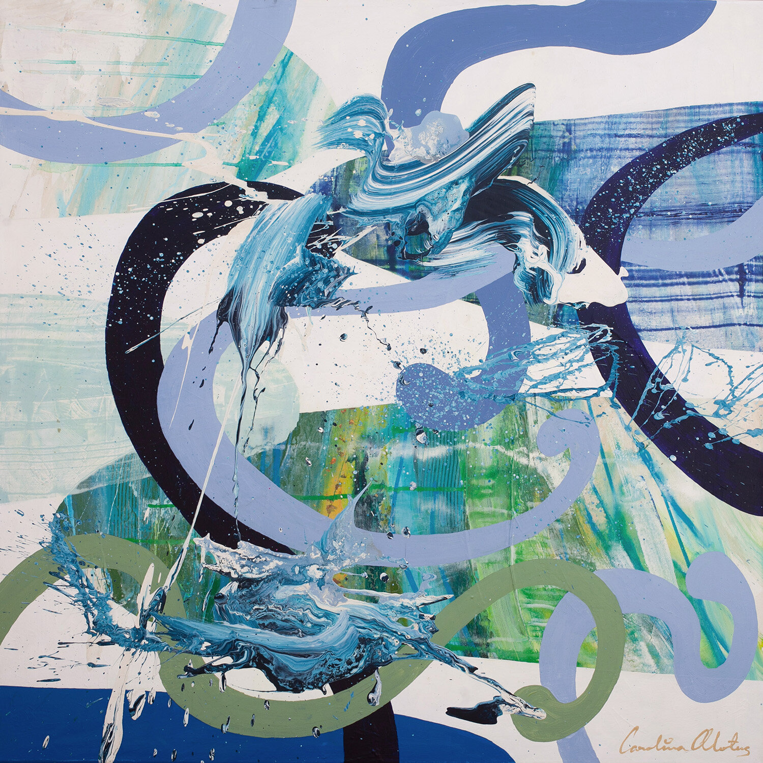 Honolulu Carolina Alotus