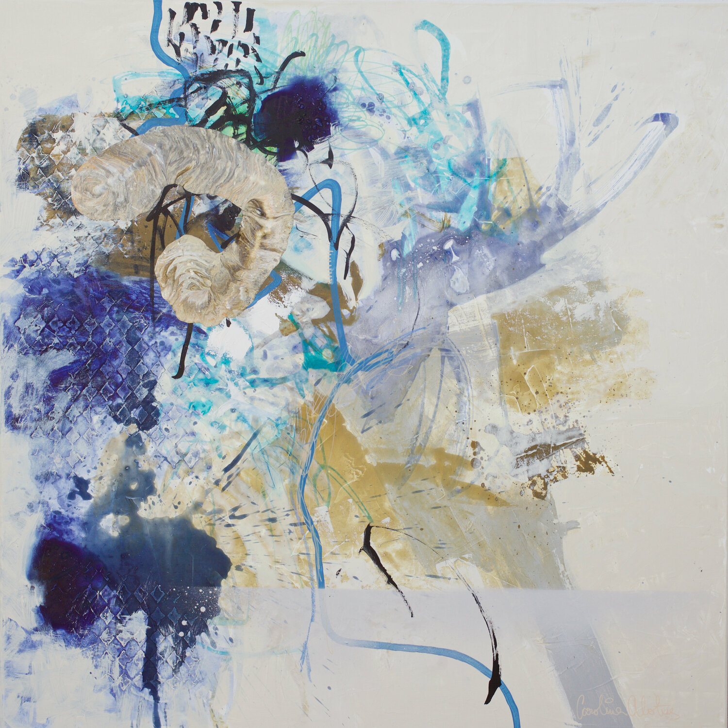 All I ever wanted Carolina Alotus