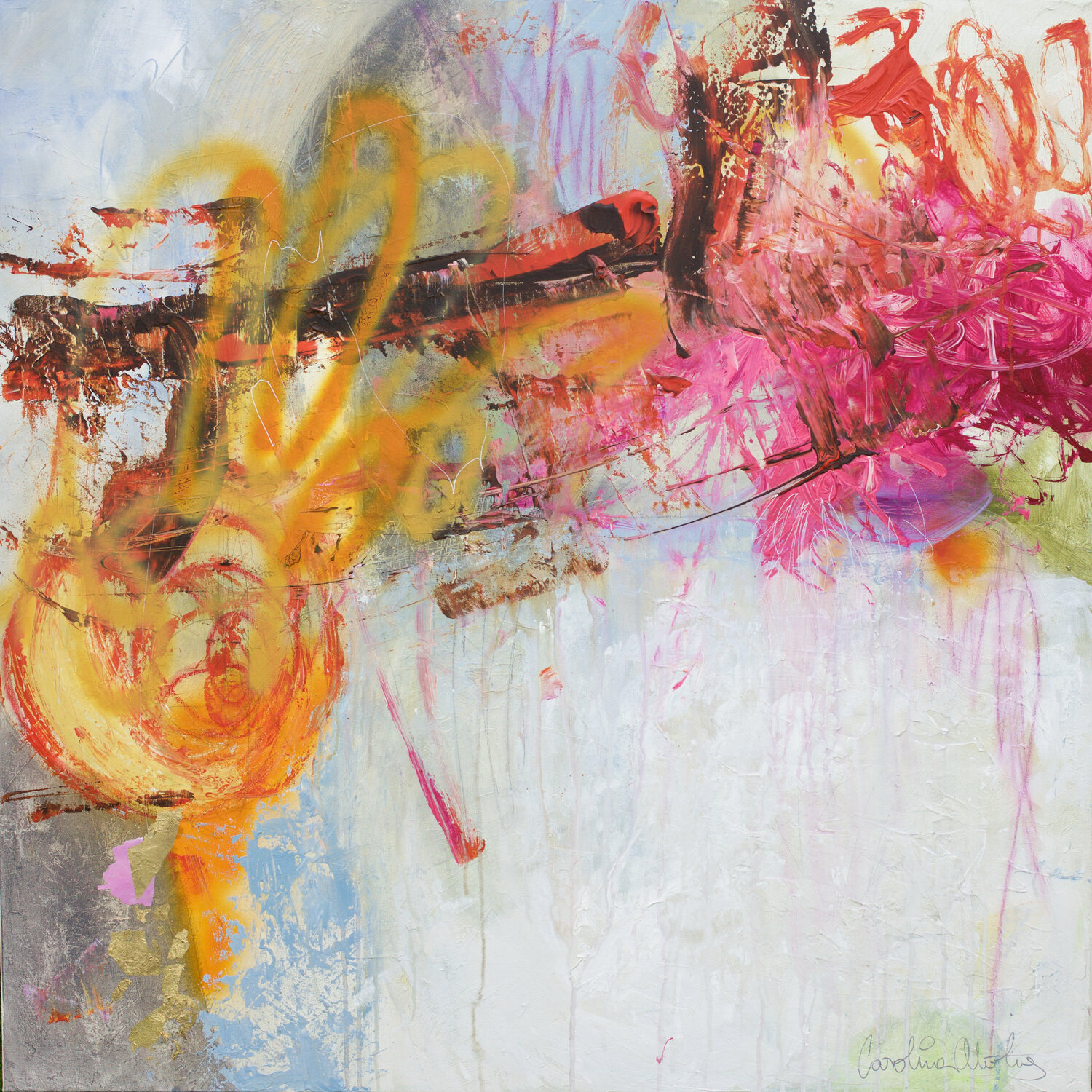 Zephyr Carolina Alotus