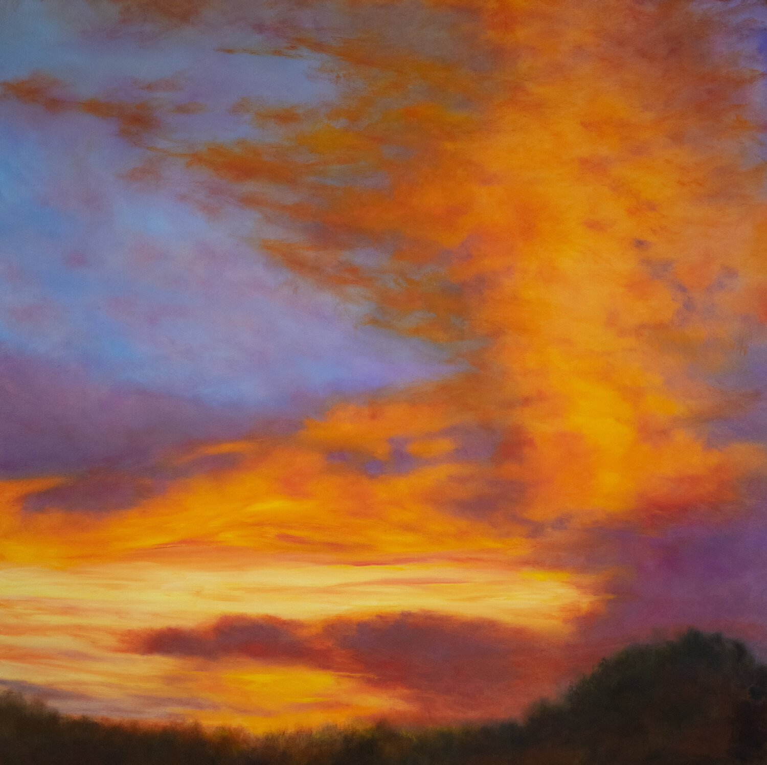 Surge of Orange Anil Sawe