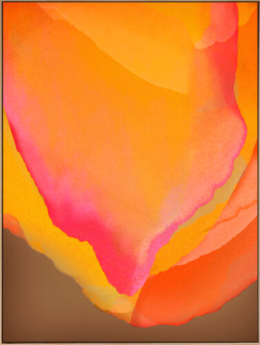 Natural Mystic, IV, studio 2 von Jonas Peres, Malerei kaufen auf Singulart