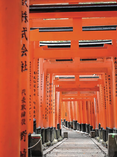 The beautiful Fushimi Inari von Fabio Accorrà, Fotografie kaufen auf Singulart
