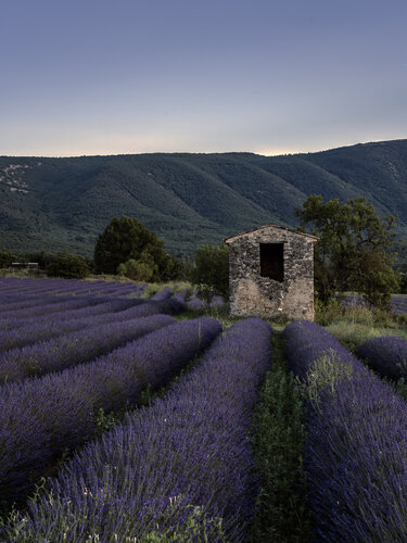 The sunset of Provence von Fabio Accorrà, Fotografie kaufen auf Singulart