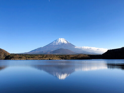 Fuji reflect Fabio Accorrà