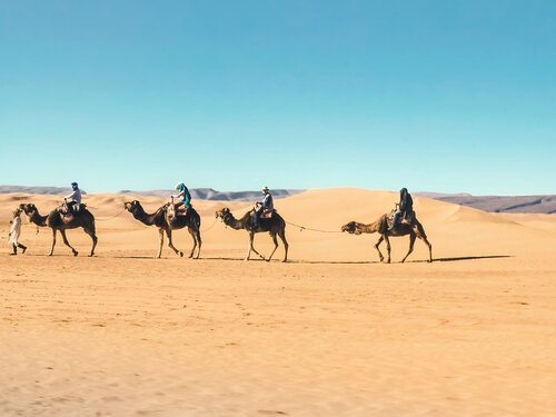Sahara camels Fabio Accorrà