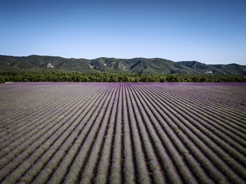 Provence landscape Fabio Accorrà