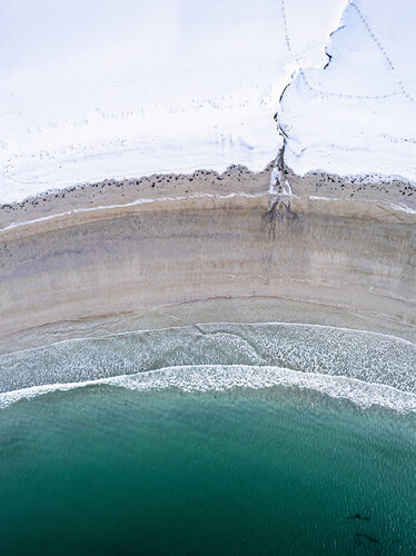 Norwegian beach by Fabio Accorrà, Photography for Sale on Singulart