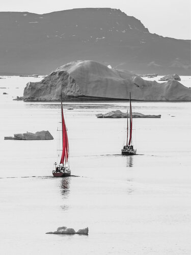 Sailing between icebergs van Fabio Accorrà, Fotografie te koop op Singulart