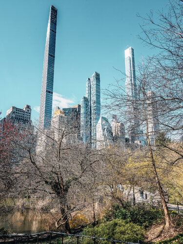 The jungle in Manhattan de Fabio Accorrà, Fotografía a la venta en Singulart