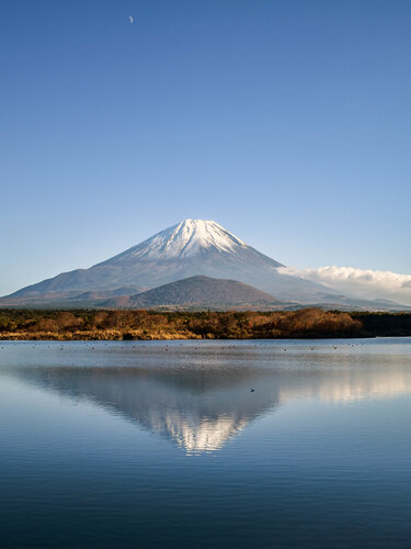 Fuji under the moon von Fabio Accorrà, Fotografie kaufen auf Singulart