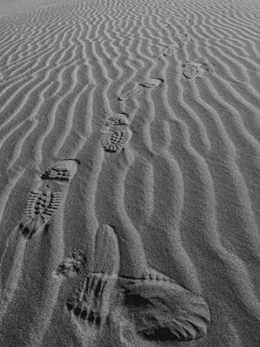 Tracks on the Sahara van Fabio Accorrà, Fotografie te koop op Singulart