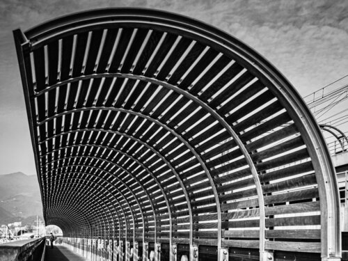 Observe von Fabio Accorrà, Fotografie kaufen auf Singulart