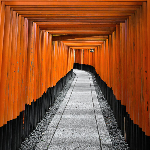 Inside the Torii Fabio Accorrà