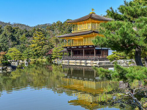 Gold Temple von Fabio Accorrà, Fotografie kaufen auf Singulart