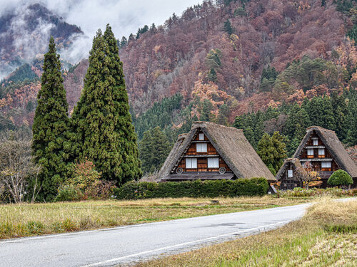 Japan nature von Fabio Accorrà, Fotografie kaufen auf Singulart