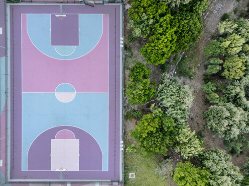 Basketball and Nature de Fabio Accorrà, Fotografía a la venta en Singulart