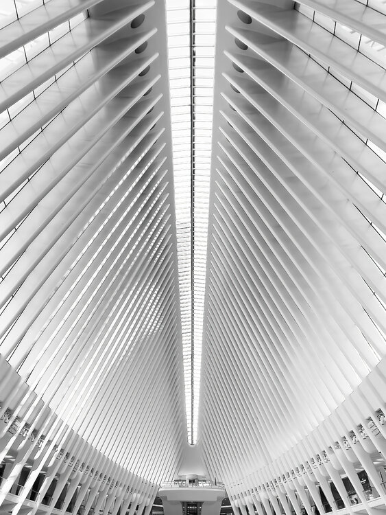 The white geometries Fabio Accorrà