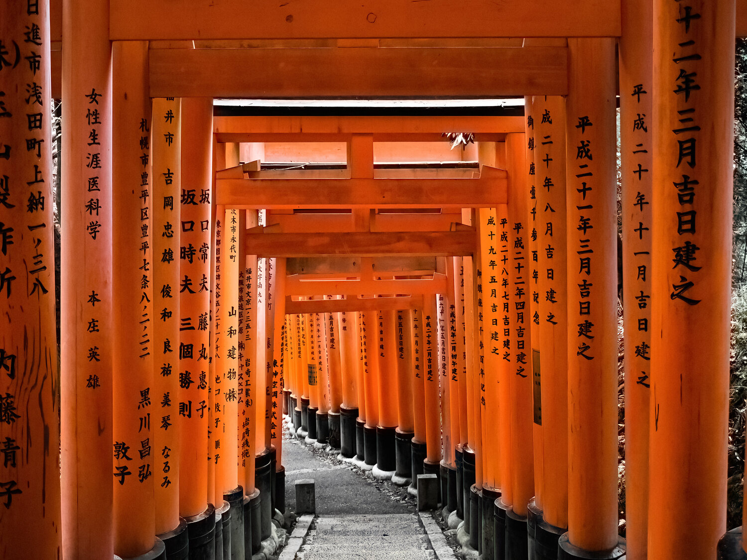 Japan Torii Fabio Accorrà
