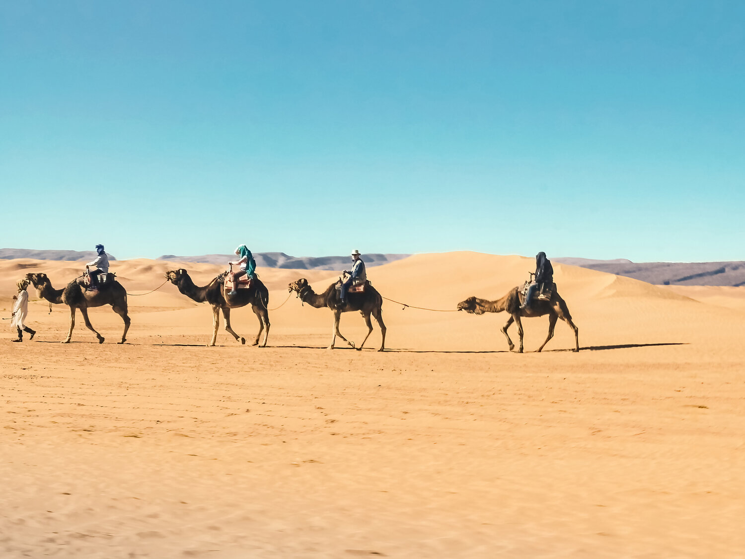 Sahara camels Fabio Accorrà