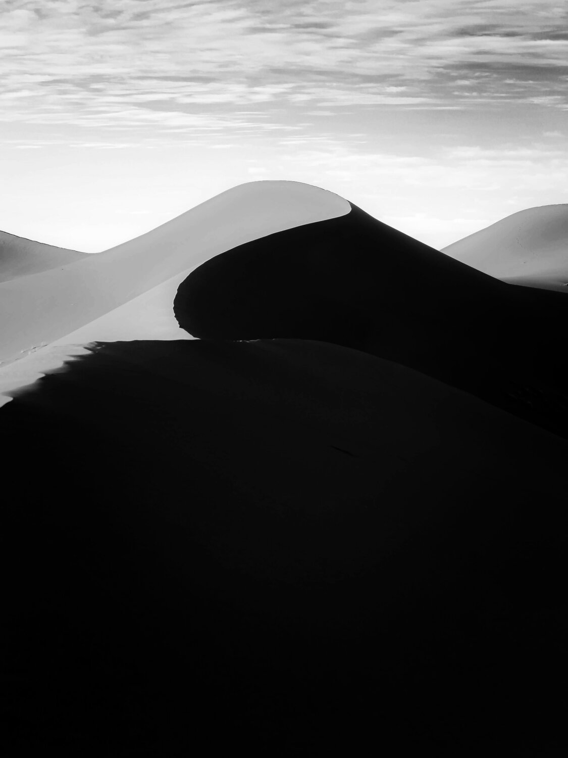 Sahara lines Fabio Accorrà