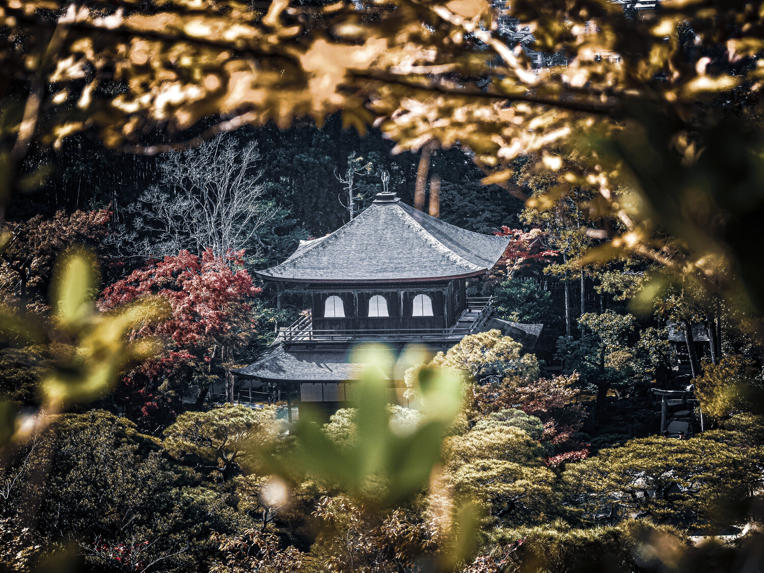 Glimspe of Ginkaku-ji Fabio Accorrà Fotografie zu verkaufen
