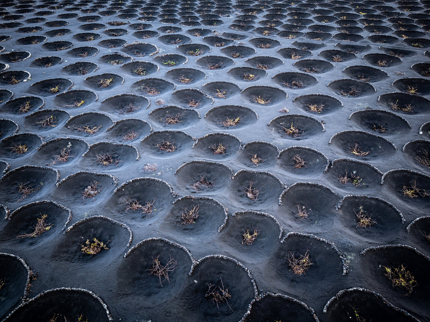 Lunar landscape Fabio Accorrà