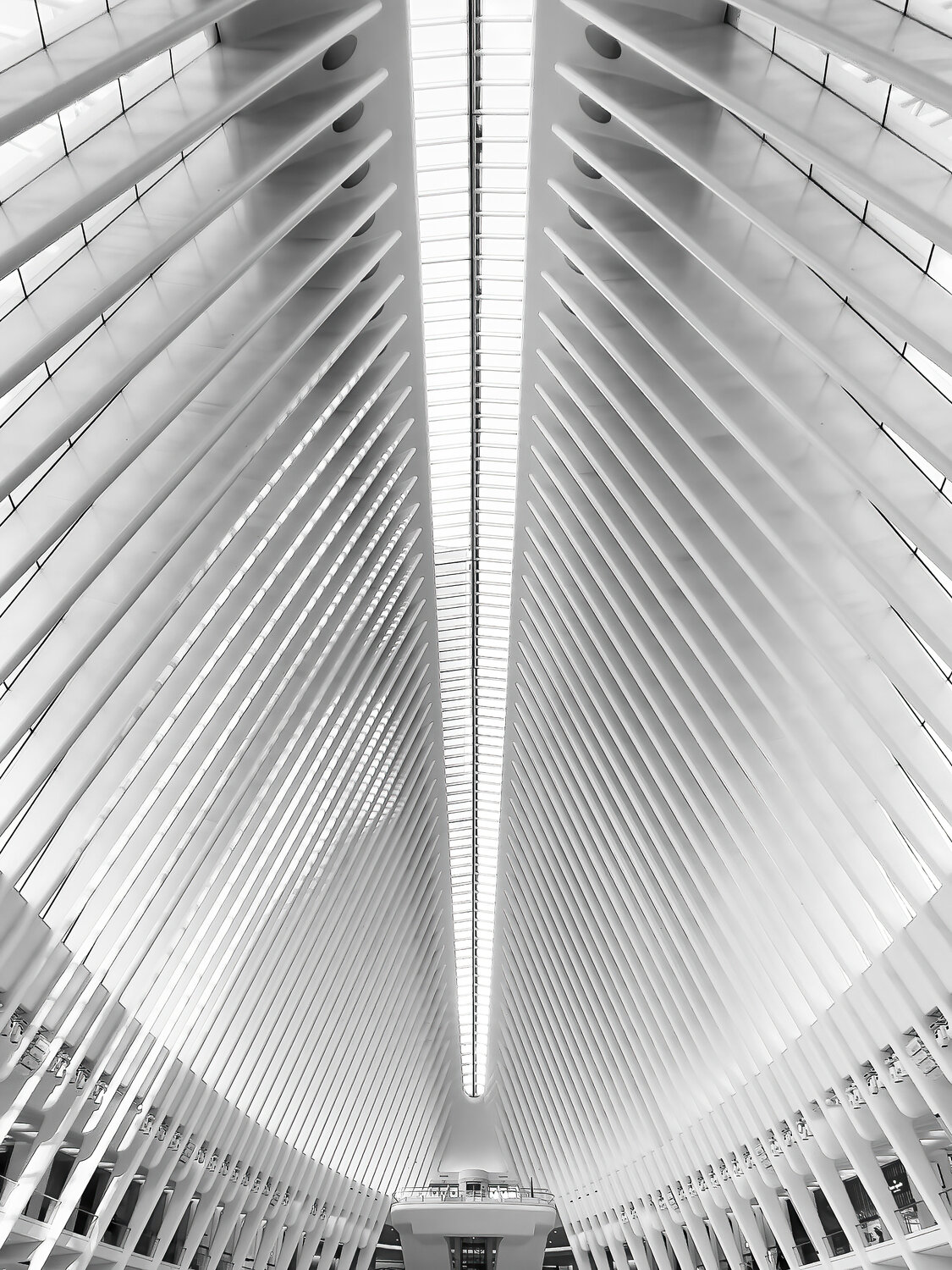 The white geometries Fabio Accorrà