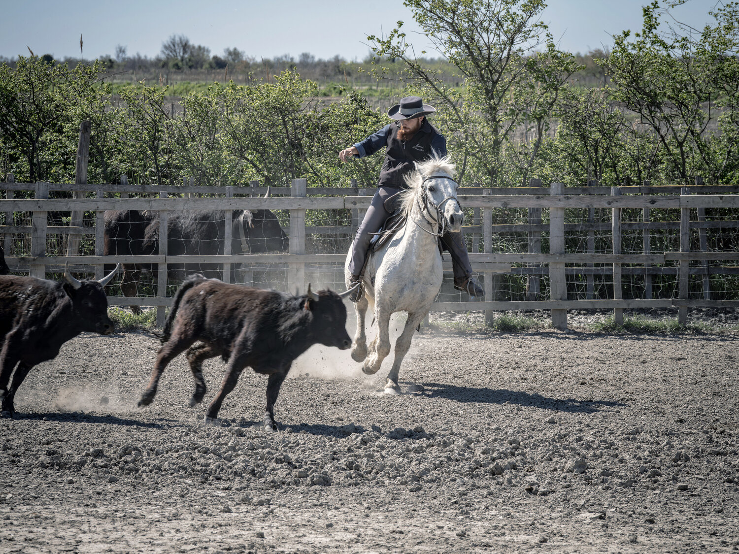 French cowboy Fabio Accorrà Fotografia in vendita