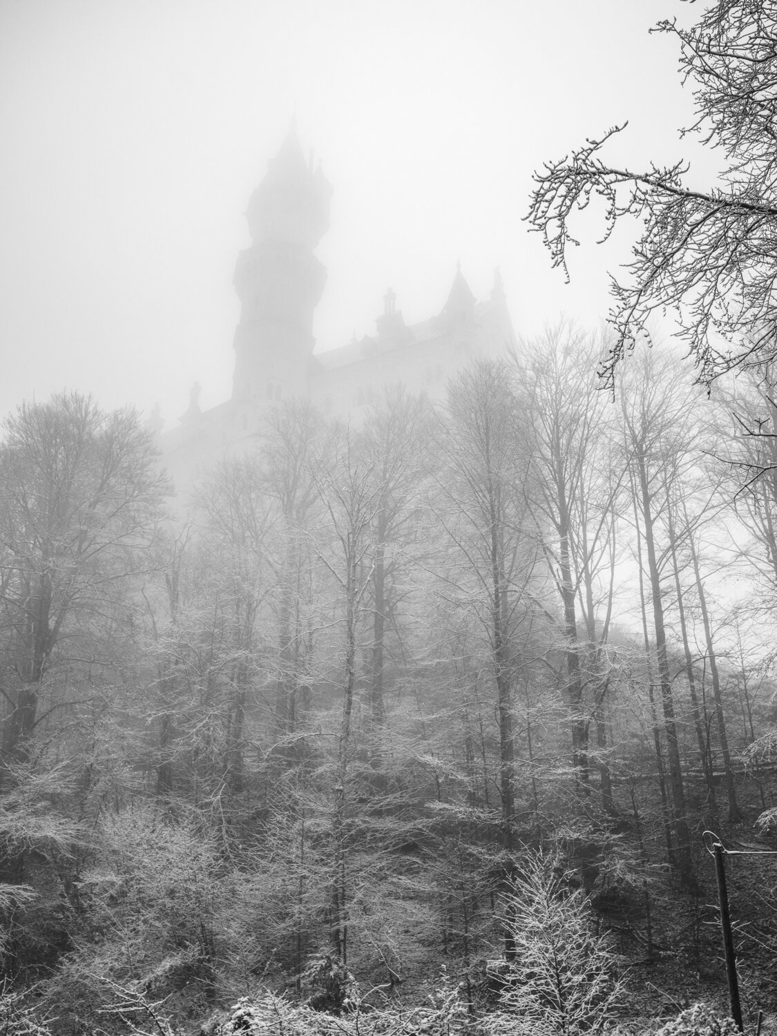 The Neuschwanstein Castle Fabio Accorrà Fotografía en venta