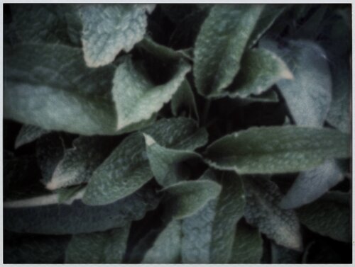 Impression #6 von Peter Östlund, Druck kaufen auf Singulart