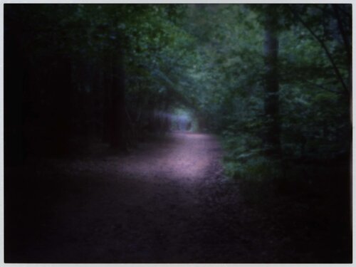 Impression #32 van Peter Östlund, Afdruk te koop op Singulart