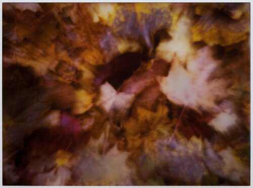 Impression #44A di Peter Östlund, Stampa in vendita su Singulart