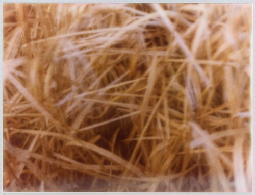 Impression #64 by Peter Östlund, Print for Sale on Singulart