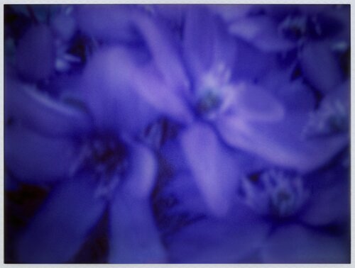 Impression #116 by Peter Östlund, Print for Sale on Singulart