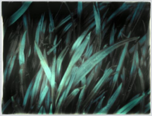 Impression #117 by Peter Östlund, 인쇄 for Sale on Singulart