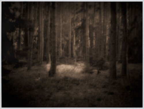 Impression #119 by Peter Östlund, 版画 for Sale on Singulart
