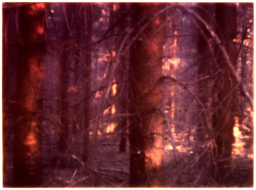 Impression #121 by Peter Östlund, 版画 for Sale on Singulart