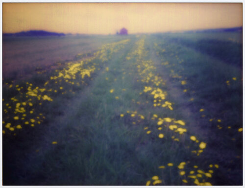 Impression #132 by Peter Östlund, Print for Sale on Singulart