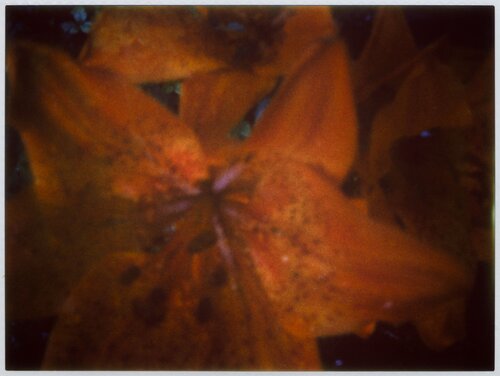 Impression #133 by Peter Östlund, Print for Sale on Singulart