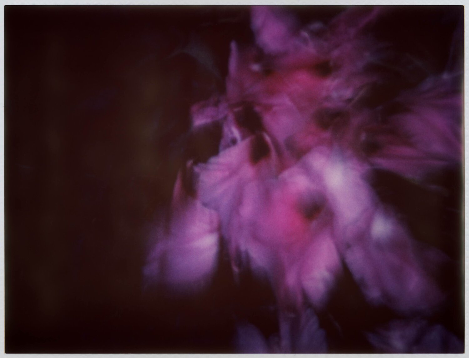 Impression #26 Peter Östlund