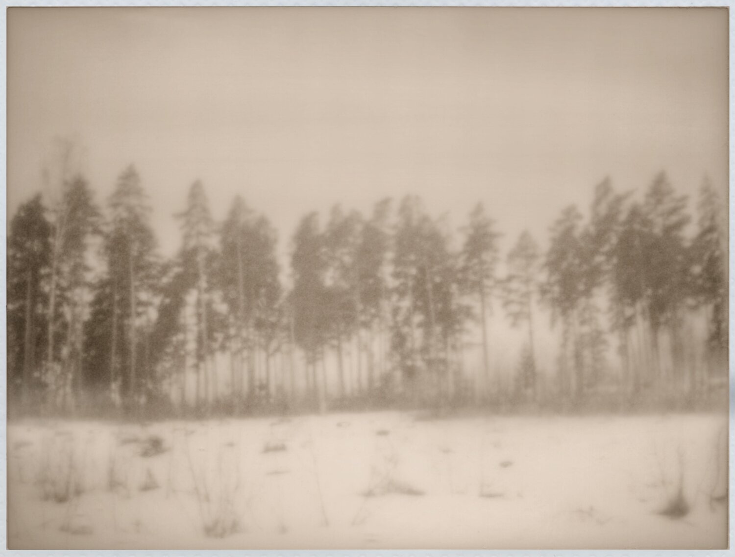 Impression #78 Peter Östlund