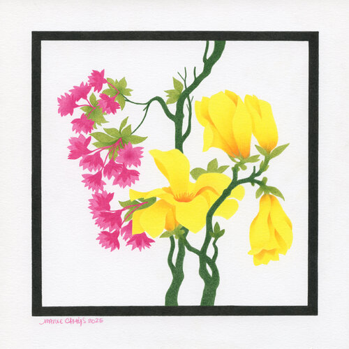 Fleurs de Magnolias et de Cerisier Ornemental Marie Casaÿs