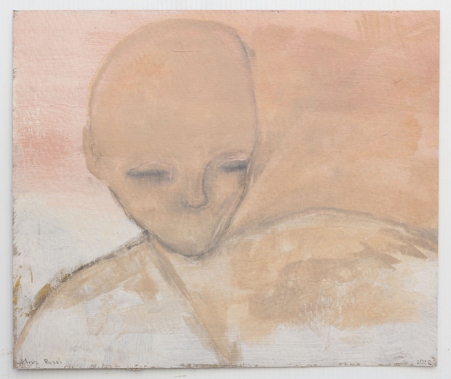 Watcher, into Pink Noise Elisa Rossi